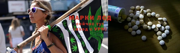 стаф Белокуриха