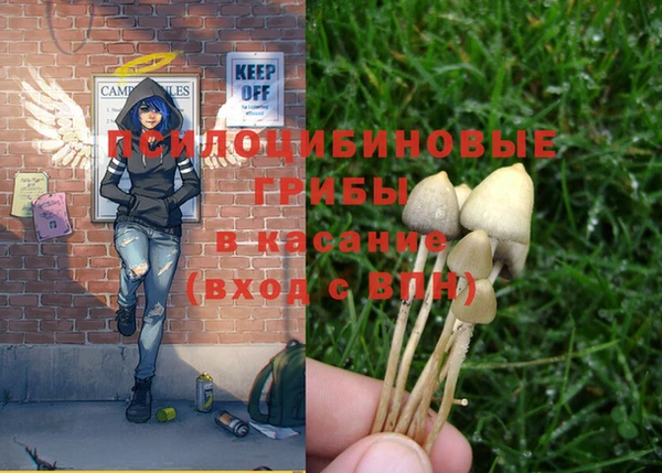спайс Белоозёрский
