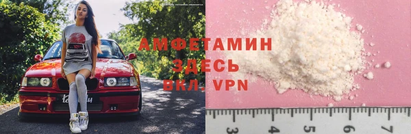 стаф Белокуриха