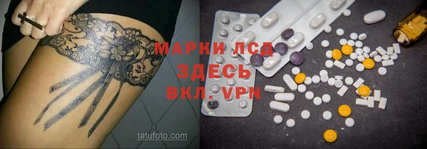 стаф Белокуриха